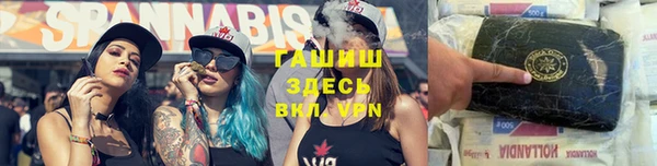 гидра Михайловск