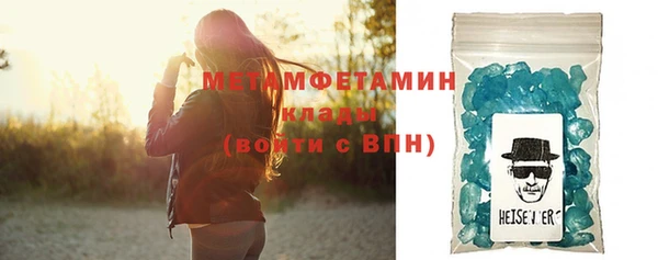 шишки Лабытнанги