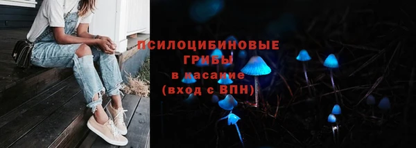 2c-b Михайлов