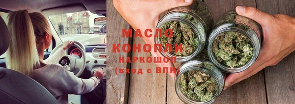 шишки Лабытнанги