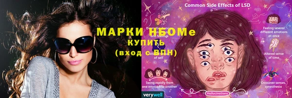 гидра Михайловск