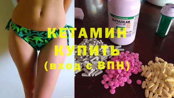 шишки Лабытнанги