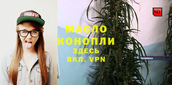 гашик Михайловка