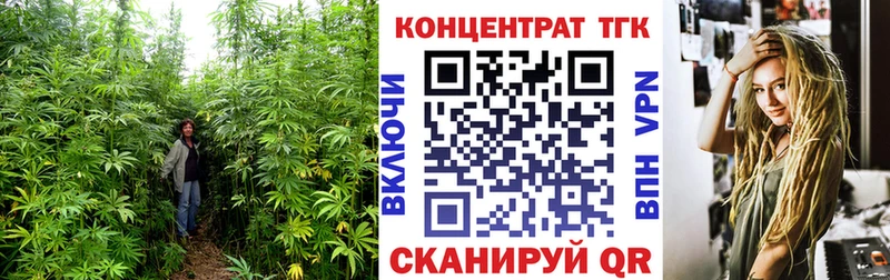 Купить закладки  Гдов  Дистиллят ТГК гашишное масло 